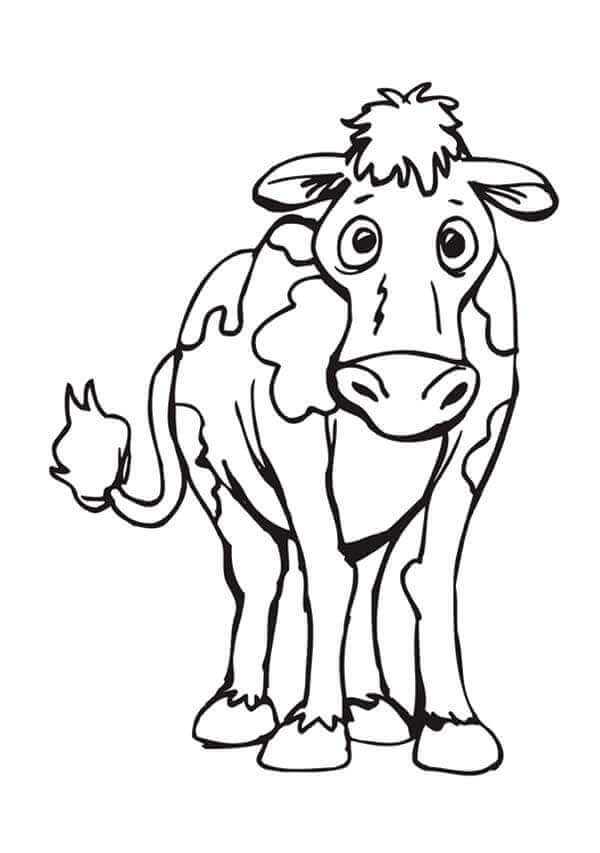 Desenho de Vacas para imprimir