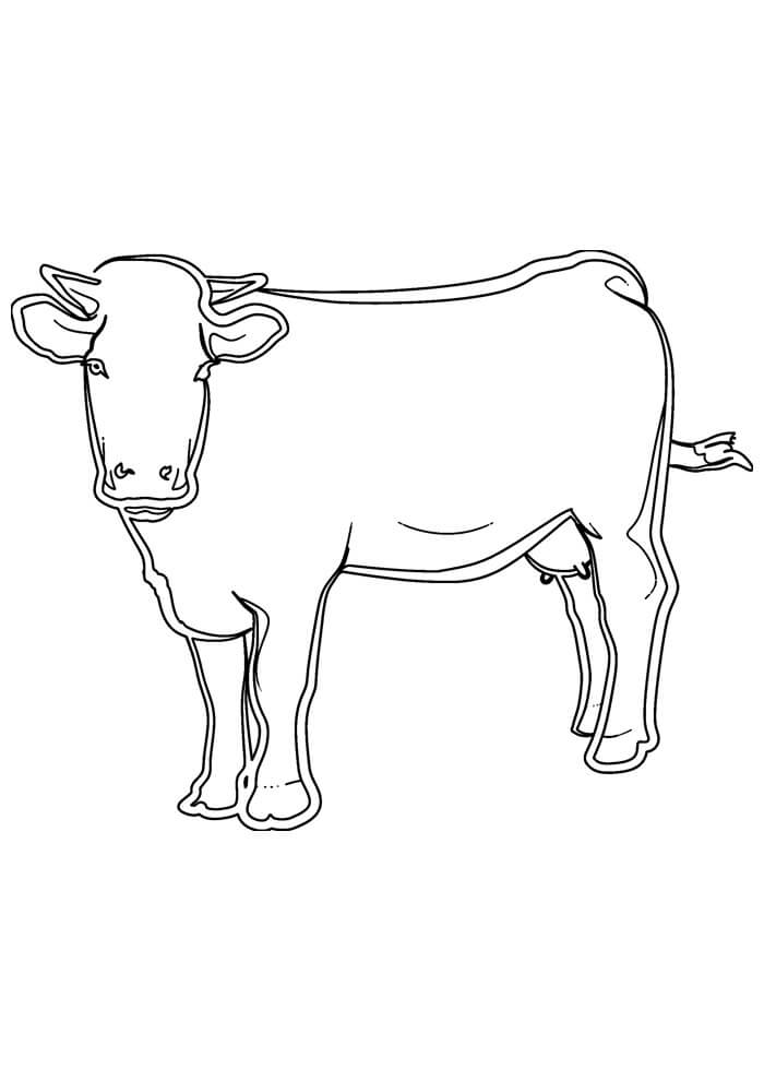 Desenho de Vacas para imprimir