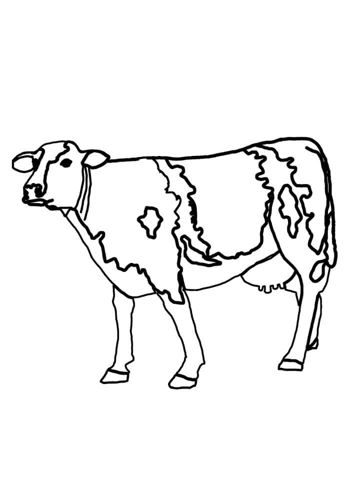 Desenho de Vacas para imprimir