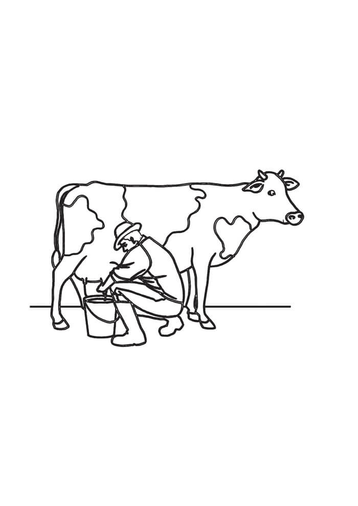 Desenho de Vacas para imprimir