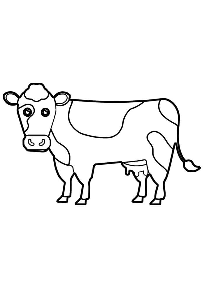 Desenho de Vacas para imprimir