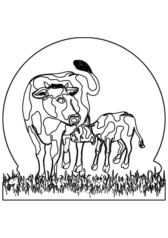 Desenho de Vacas para imprimir