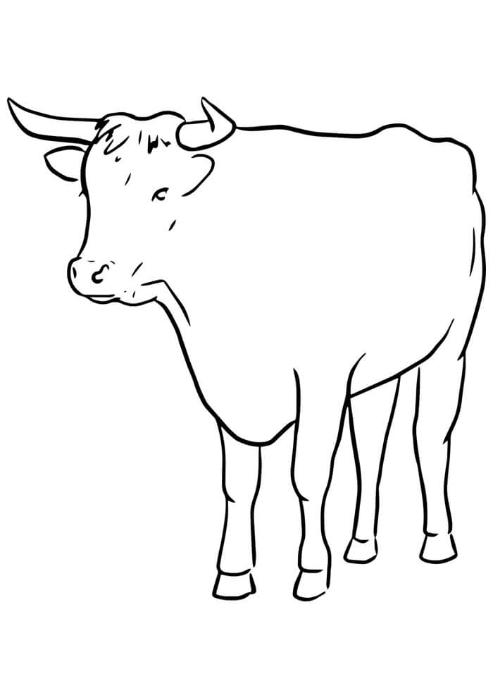 Desenho de Vacas para imprimir