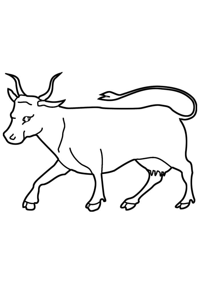 Desenho de Vacas para imprimir