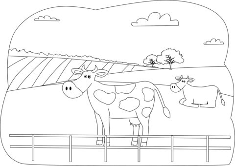 Desenho de Vacas para imprimir