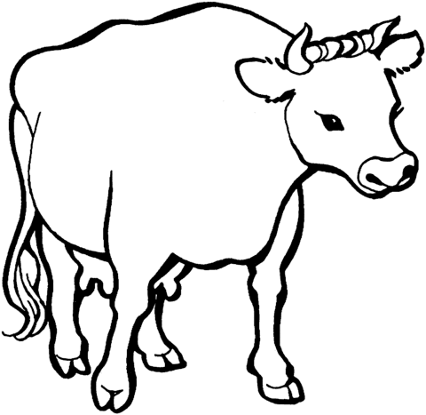 Desenho de Vacas para imprimir