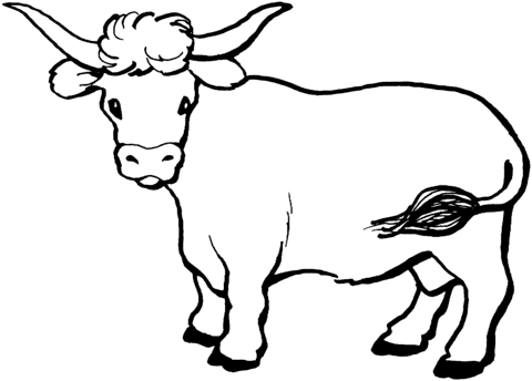 Desenho de Vacas para imprimir