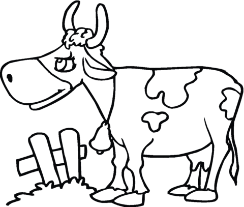 Desenho de Vacas para imprimir
