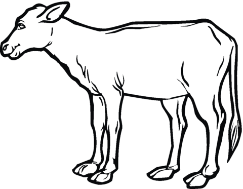 Desenho de Vacas para imprimir