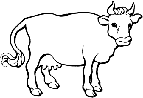Desenho de Vacas para imprimir