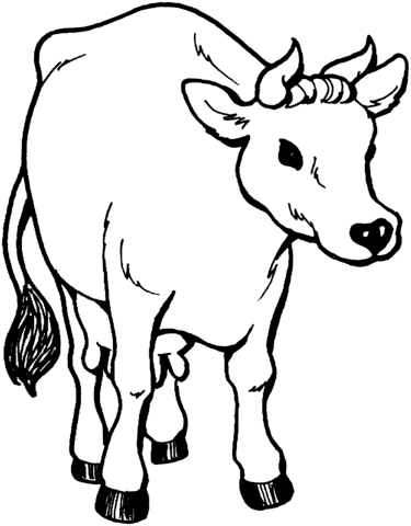Desenho de Vacas para imprimir