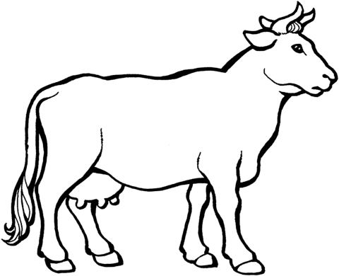 Desenho de Vacas para imprimir
