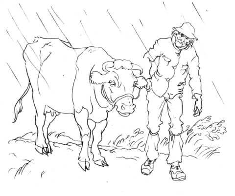 Desenho de Vacas para imprimir