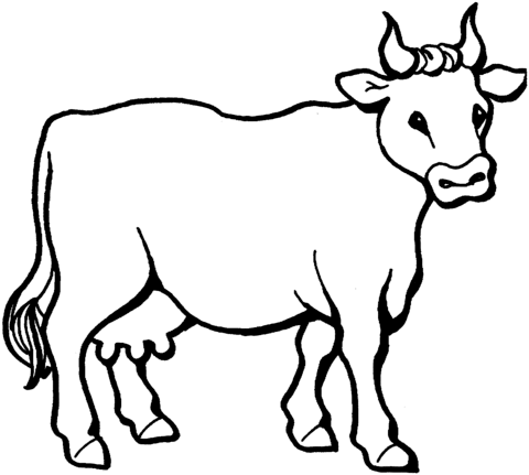 Desenho de Vacas para imprimir