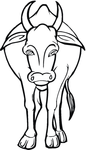 Desenho de Vacas para imprimir