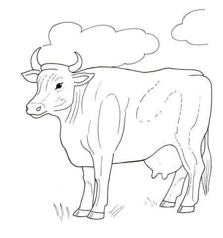 Desenho de Vacas para imprimir