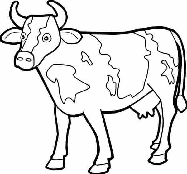 Desenho de Vacas para imprimir