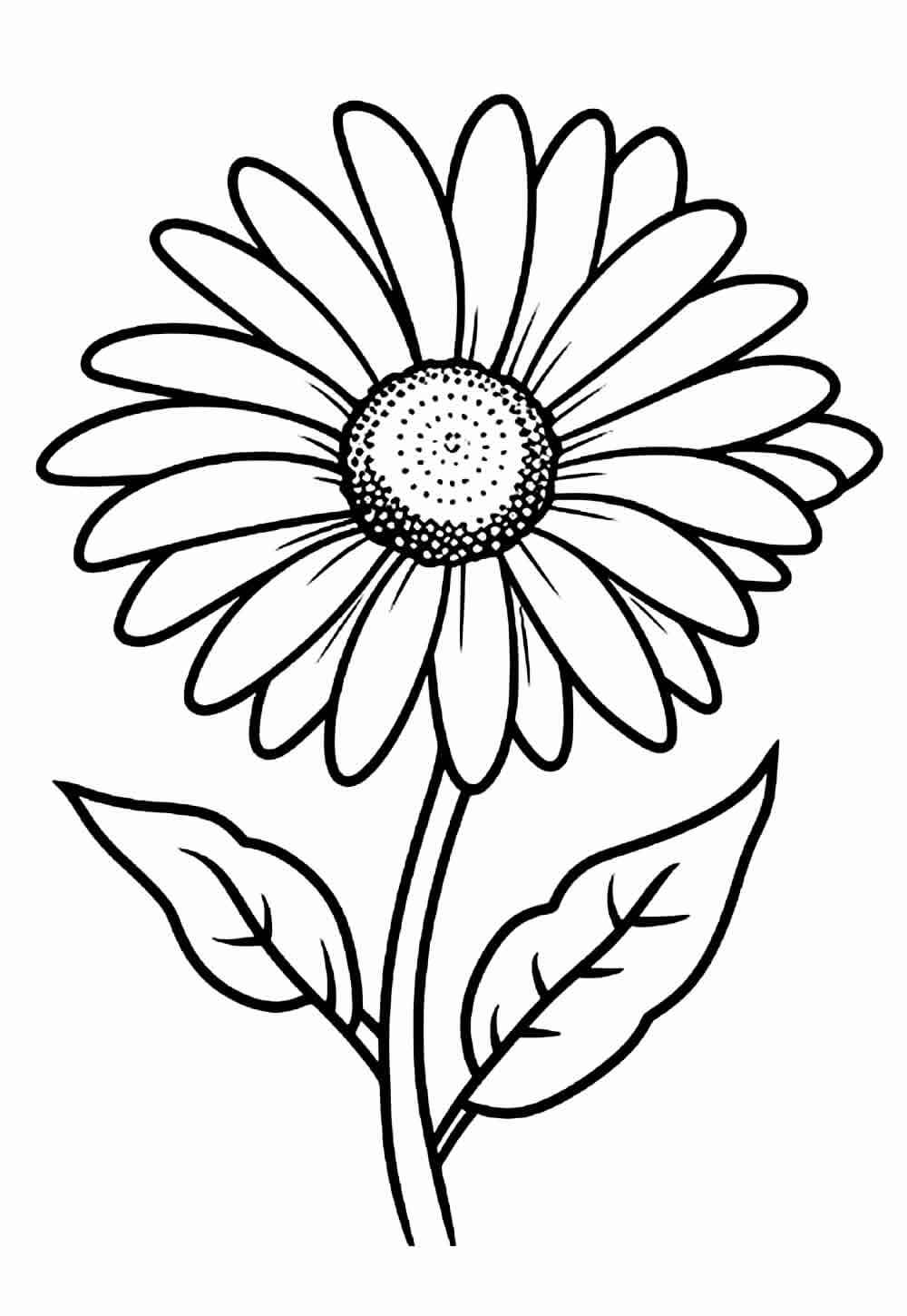 Desenho de Flores para imprimir