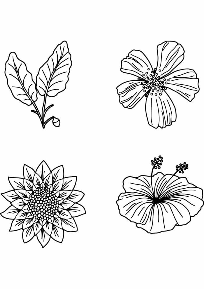 Desenho de Flores para imprimir