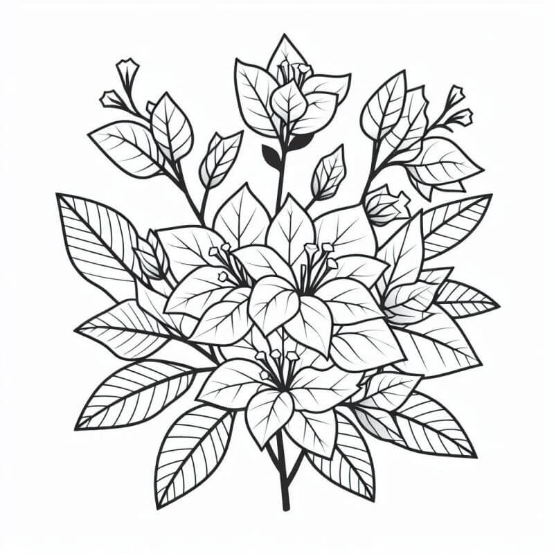 Desenho de Flores para imprimir