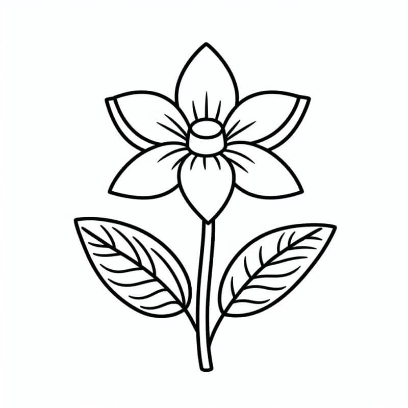 Desenho de Flores para imprimir