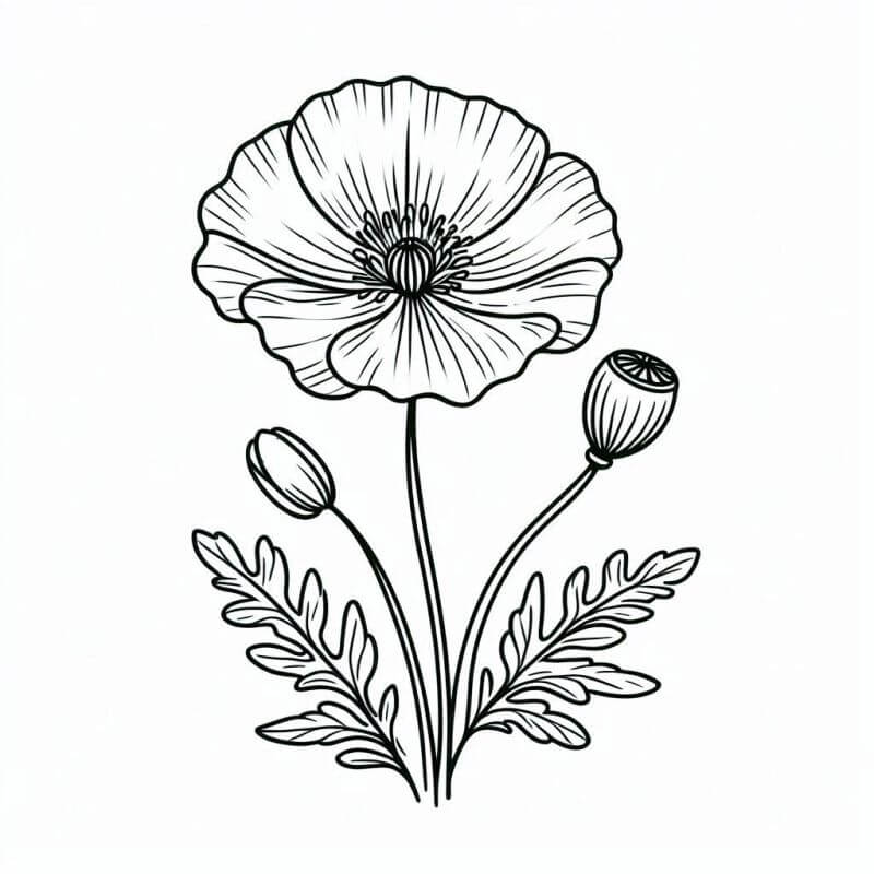 Desenho de Flores para imprimir
