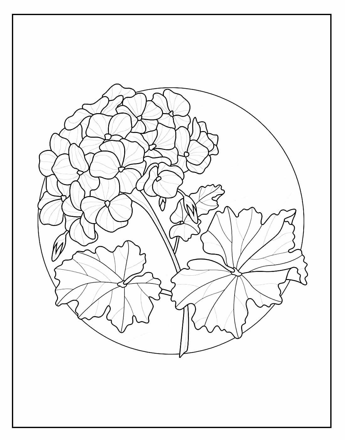 Desenho de Flores para imprimir