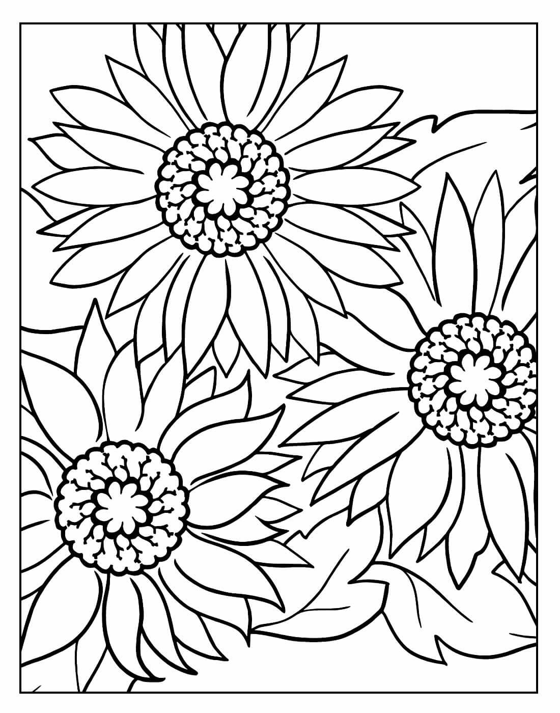 Desenho de Flores para imprimir