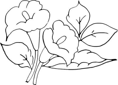 Desenho de Flores para imprimir