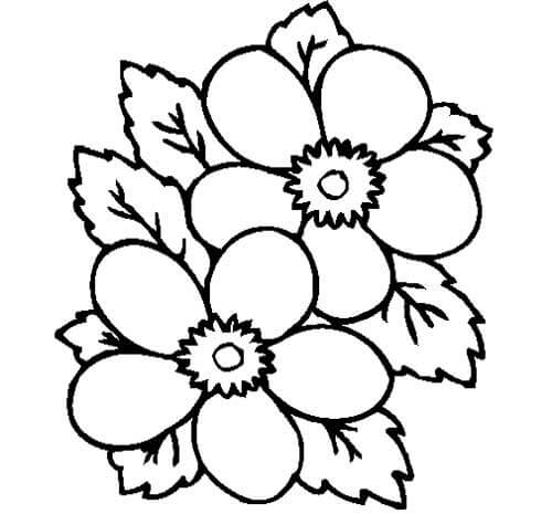 Desenho de Flores para imprimir