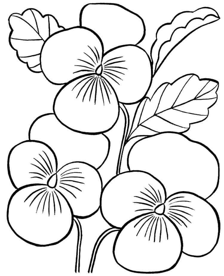 Desenho de Flores para imprimir