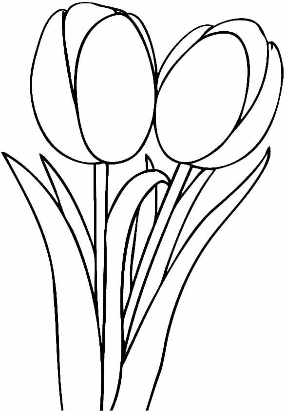 Desenho de Flores para imprimir