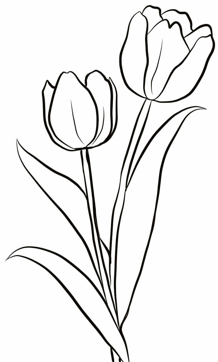 Desenho de Flores para imprimir
