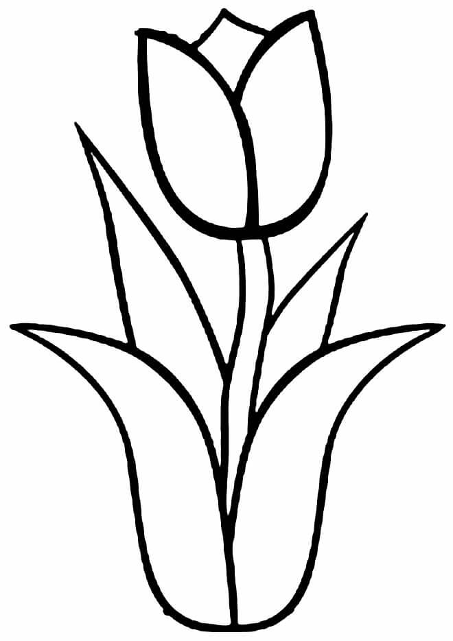 Desenho de Flores para imprimir