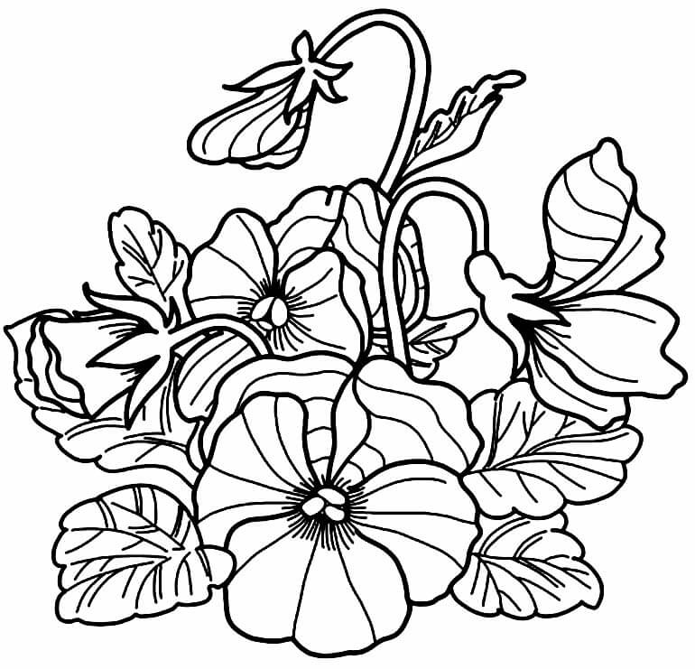 Desenho de Flores para imprimir