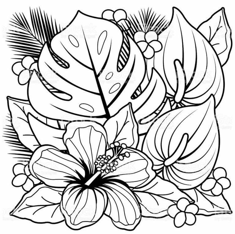 Desenho de Flores para imprimir
