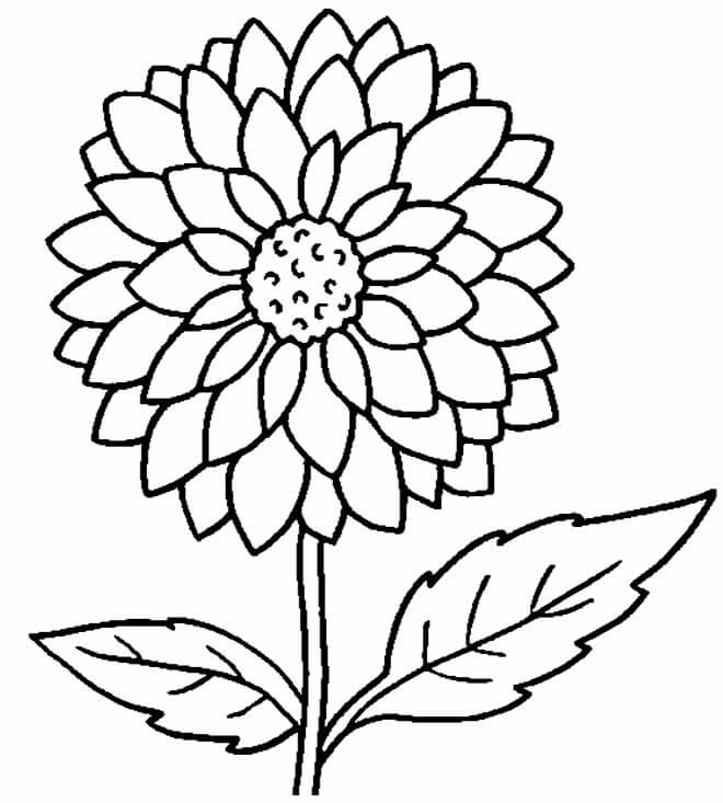 Desenho de Flores para imprimir