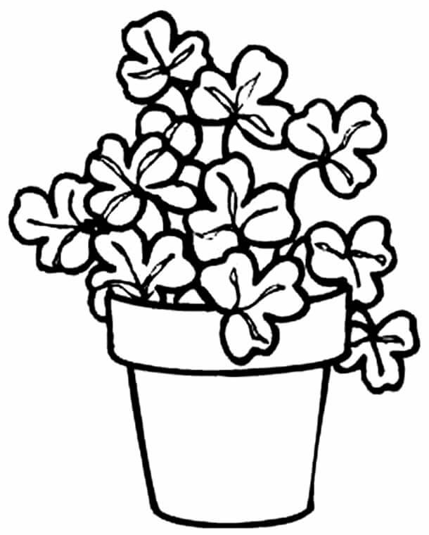 Desenho de Flores para imprimir