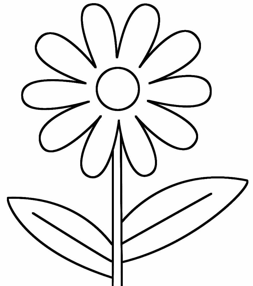 Desenho de Flores para imprimir