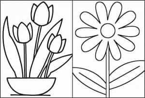 Desenho de Flores para imprimir
