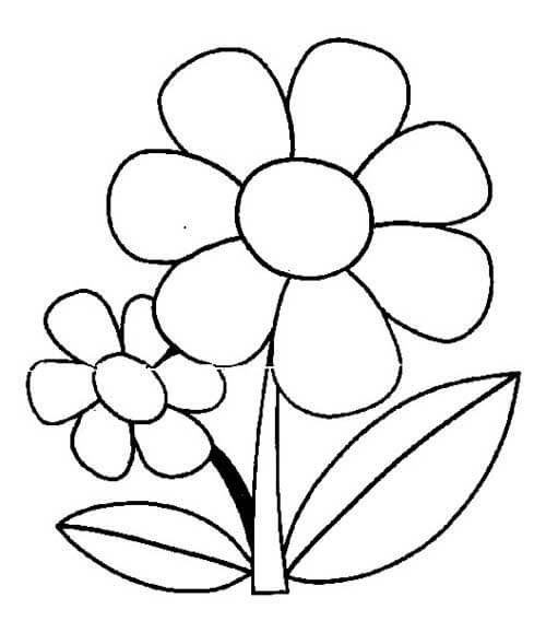 Desenho de Flores para imprimir