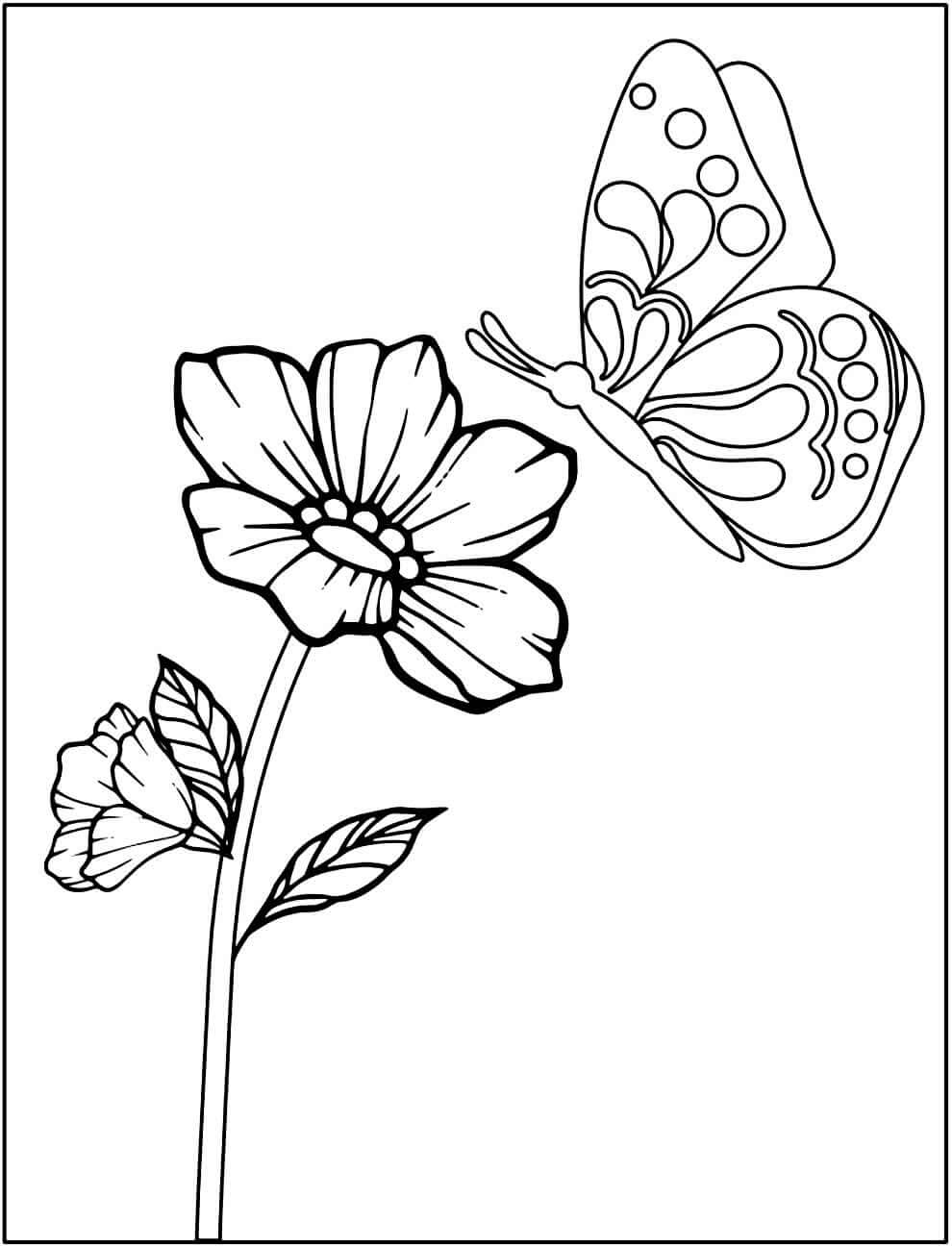 Desenho de Flores para imprimir