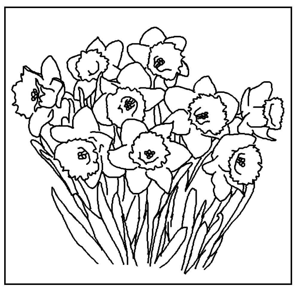Desenho de Flores para imprimir