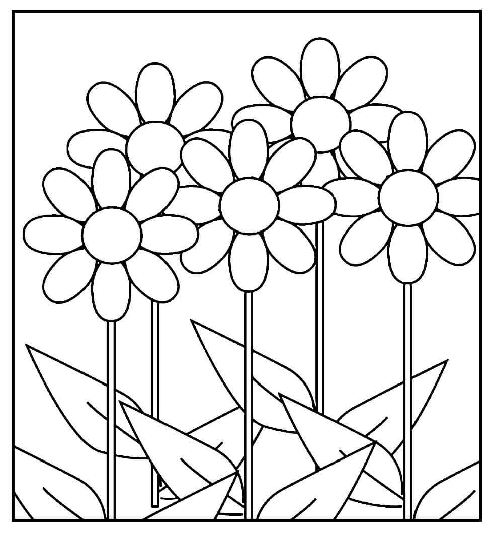 Desenho de Flores para imprimir