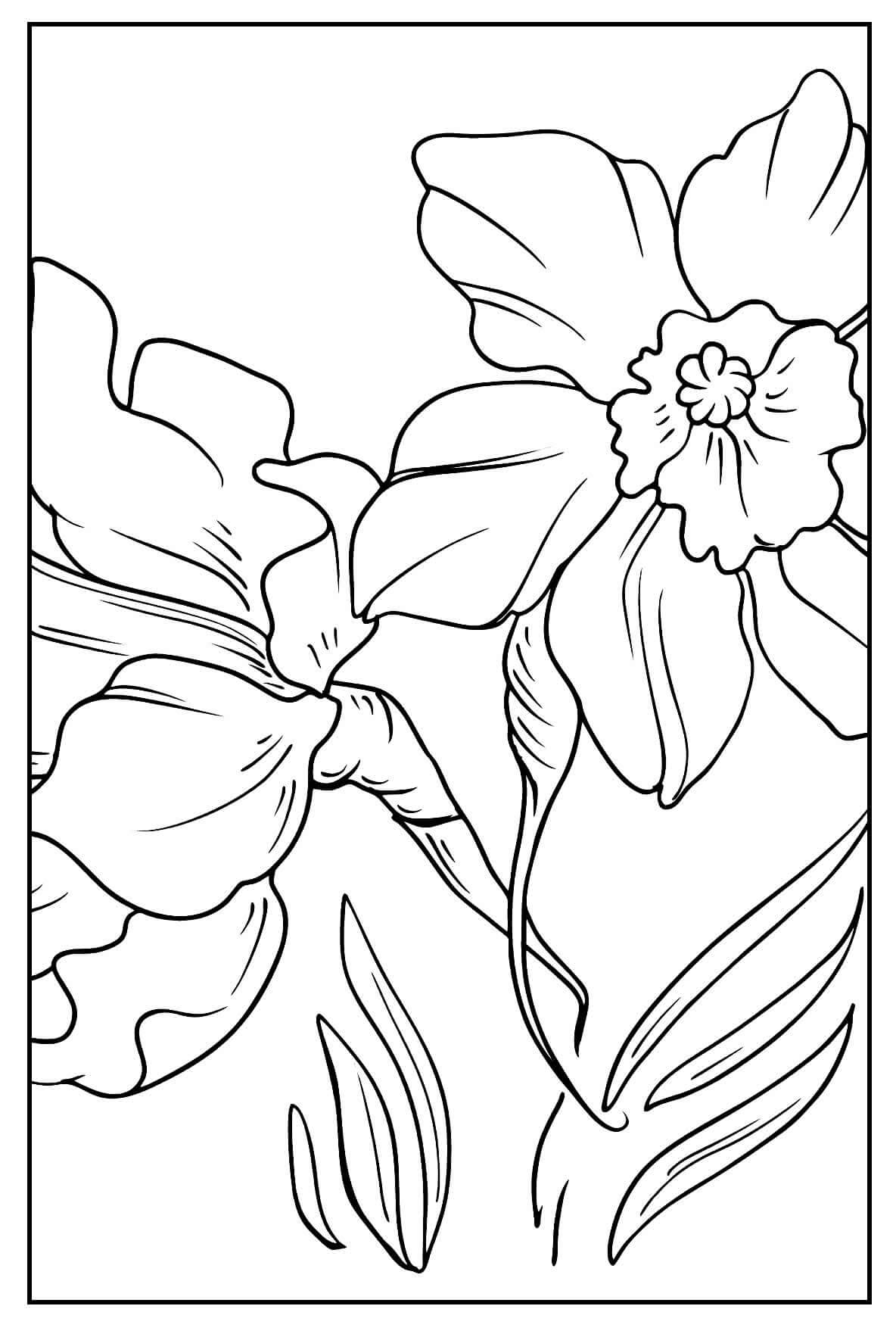 Desenho de Flores para imprimir