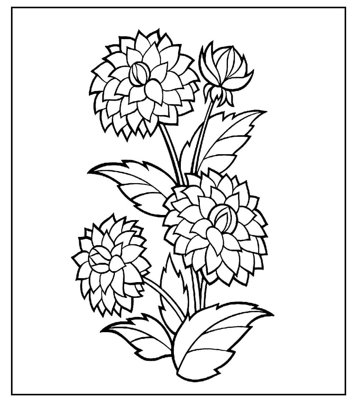 Desenho de Flores para imprimir