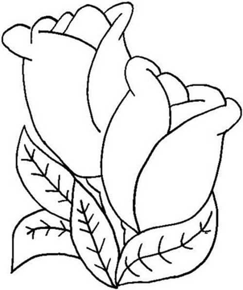 Desenho de Flores para imprimir