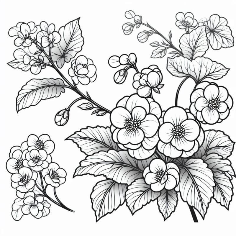 Desenho de Flores para imprimir