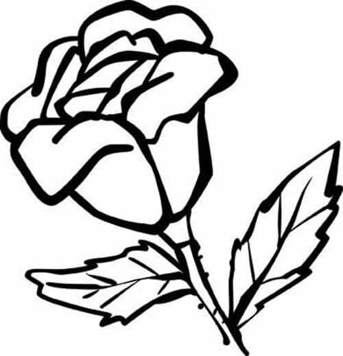 Desenho de Flores para imprimir