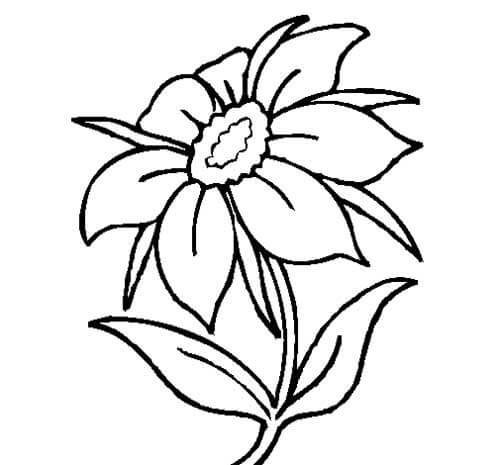 Desenho de Flores para imprimir